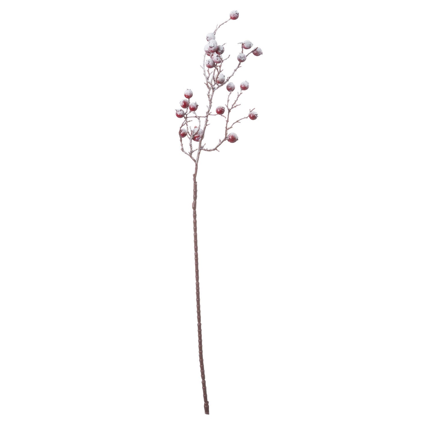 Snowy Berry Branch