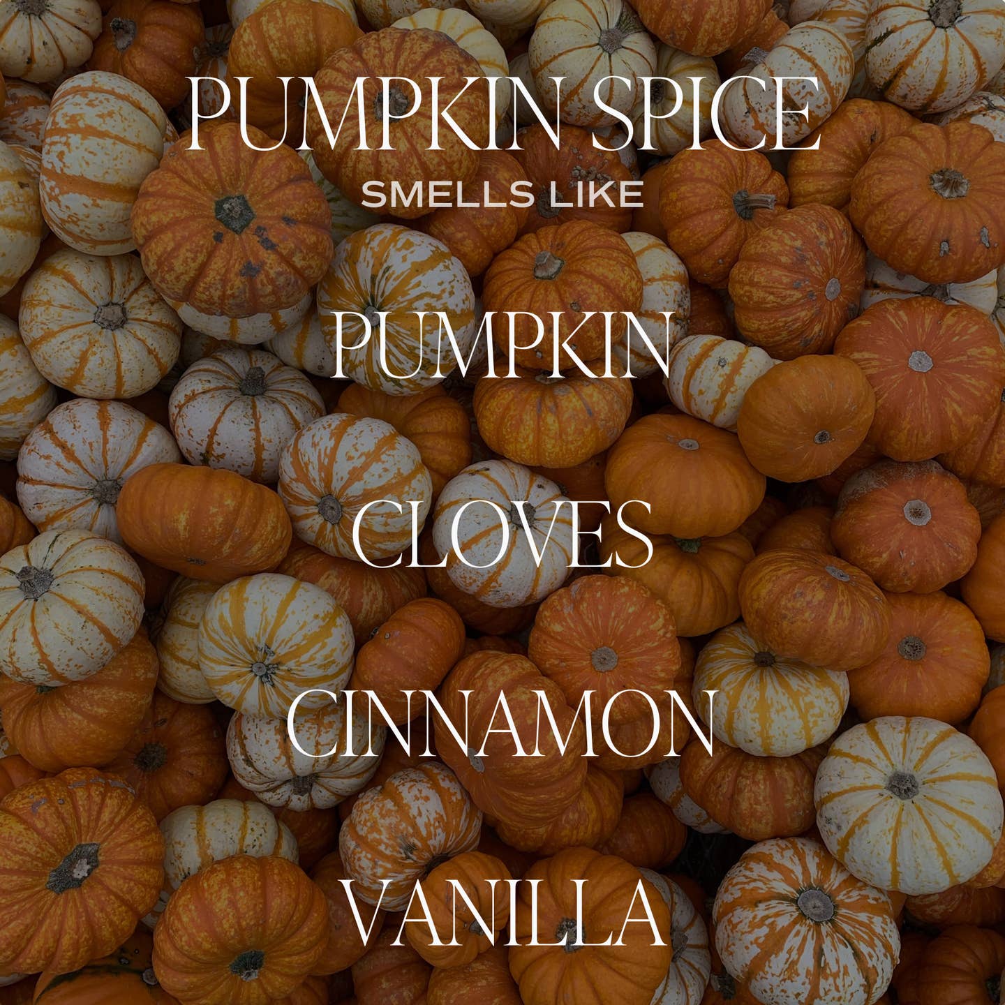 Amber Pumpkin Spice Candle Jar