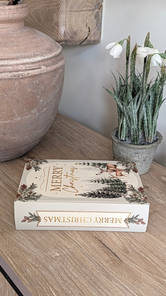 Christmas Storage Books