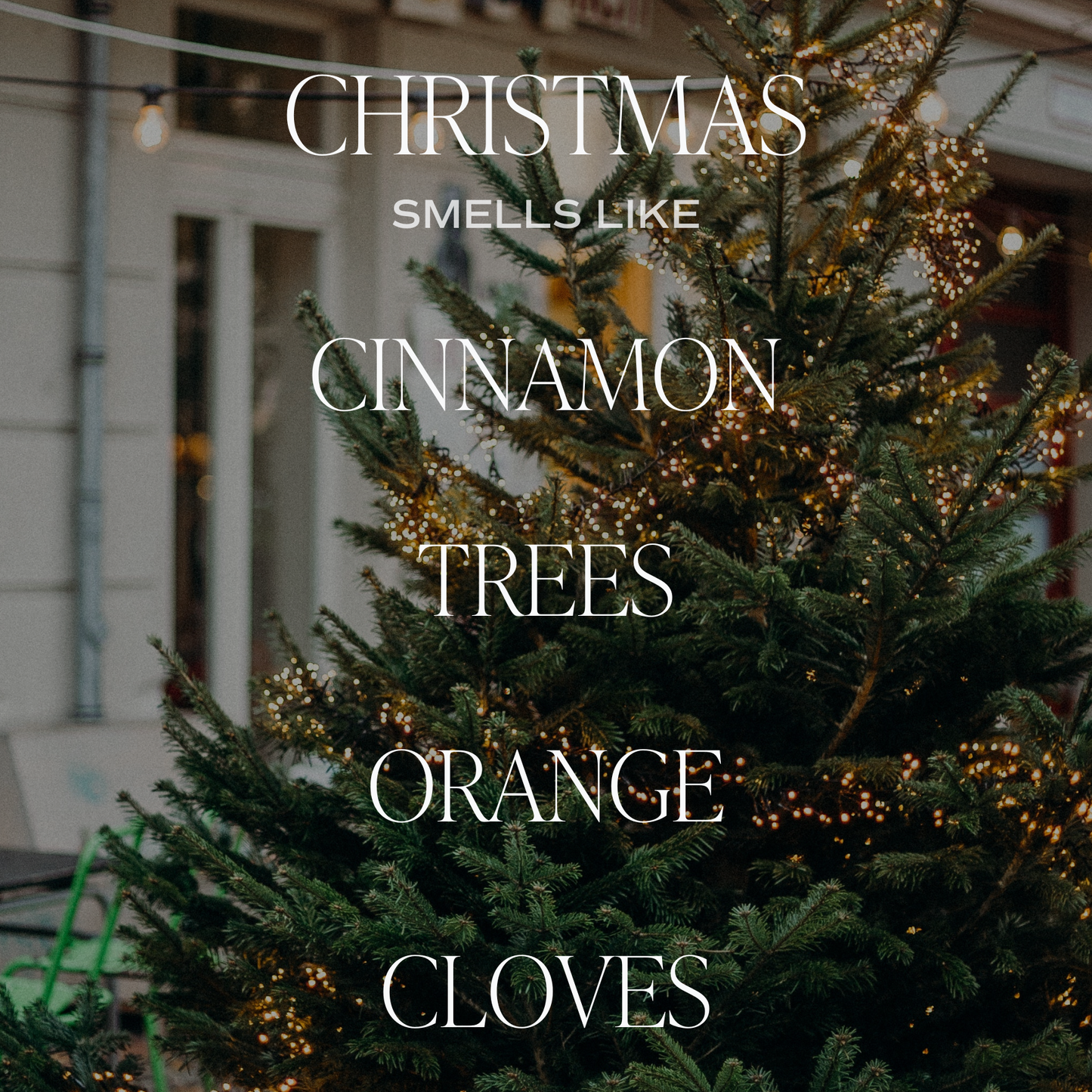 Amber Christmas Soy Candle