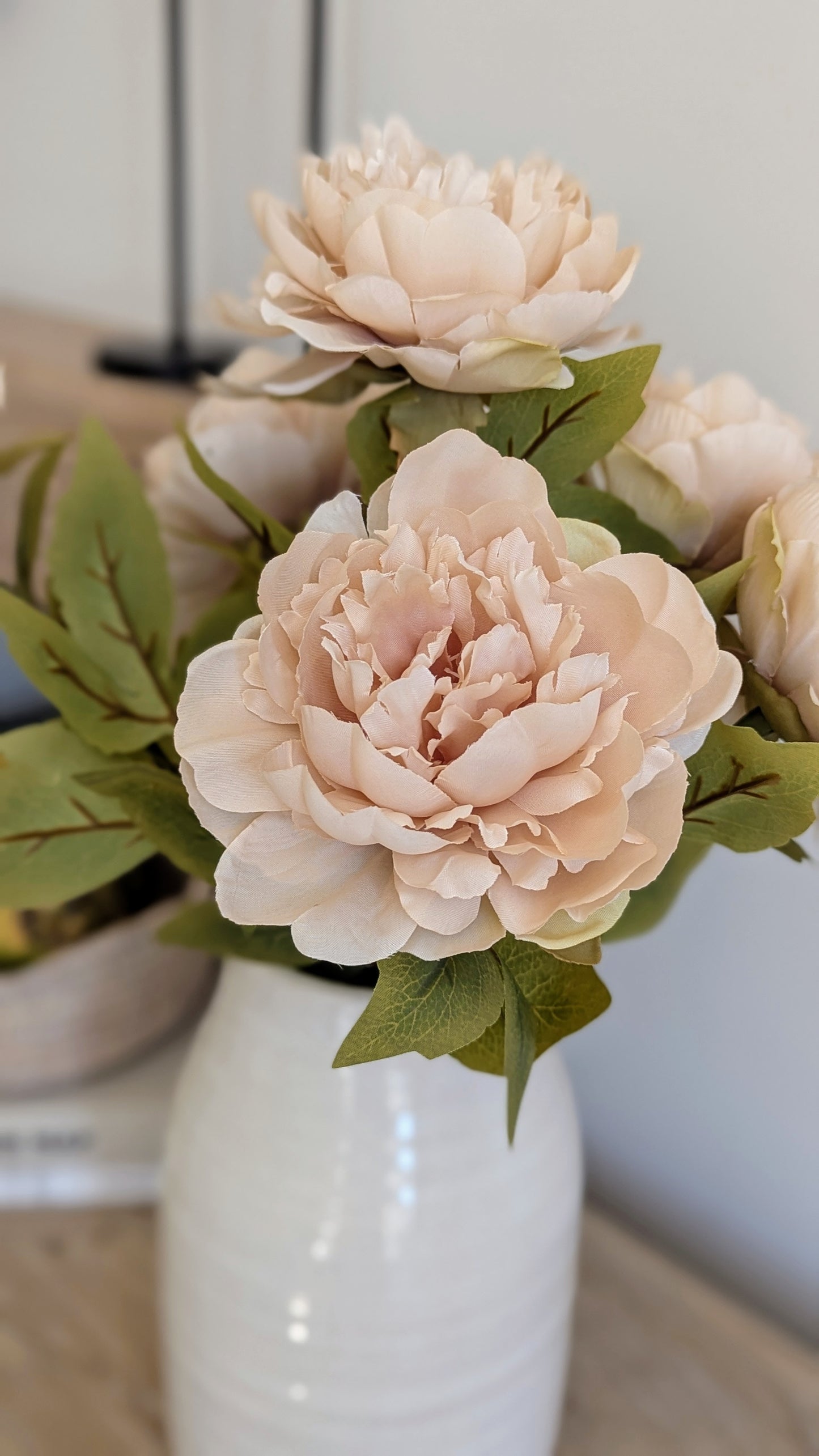 Dusk Peony