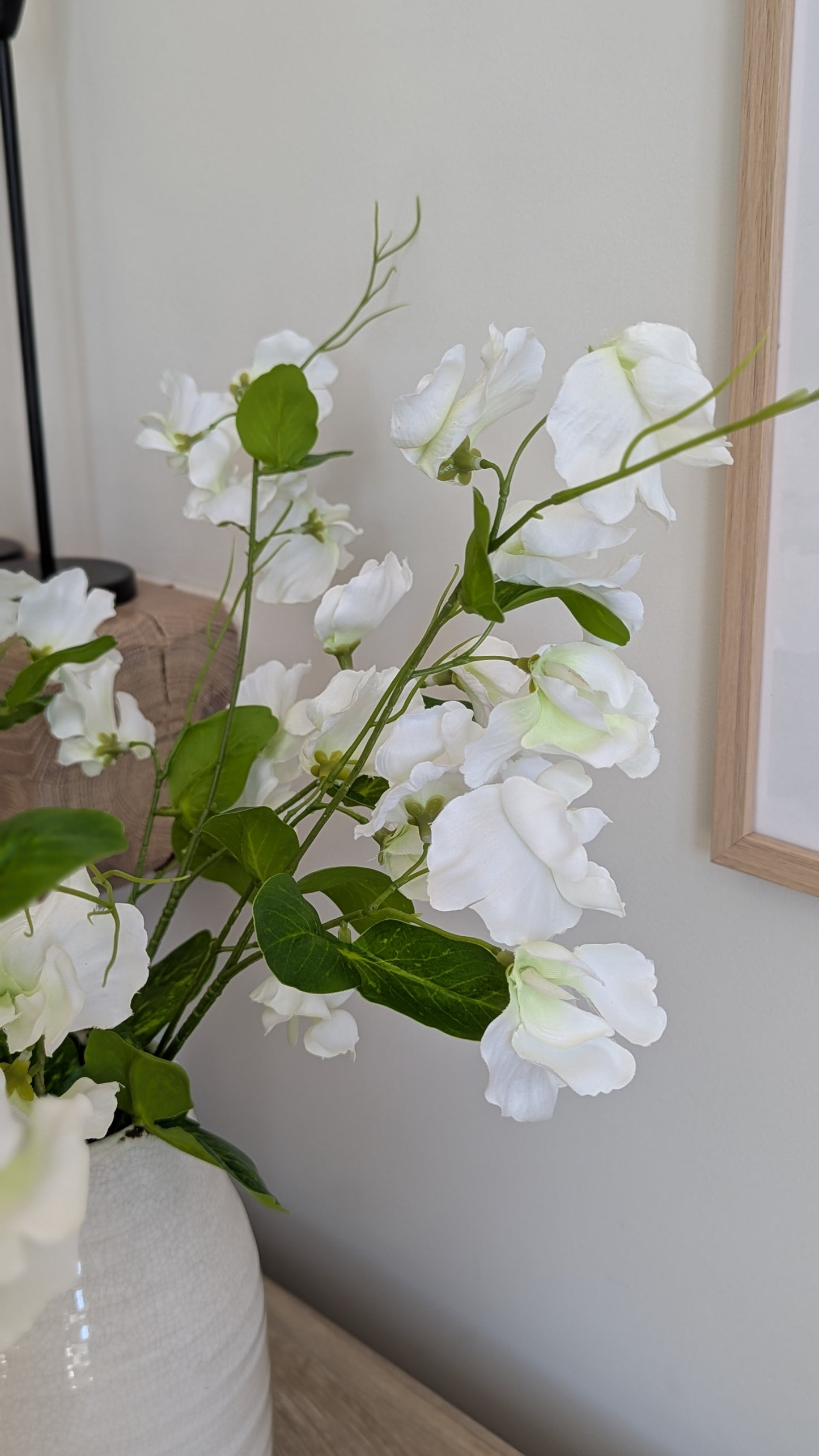 White Sweetpea Stems