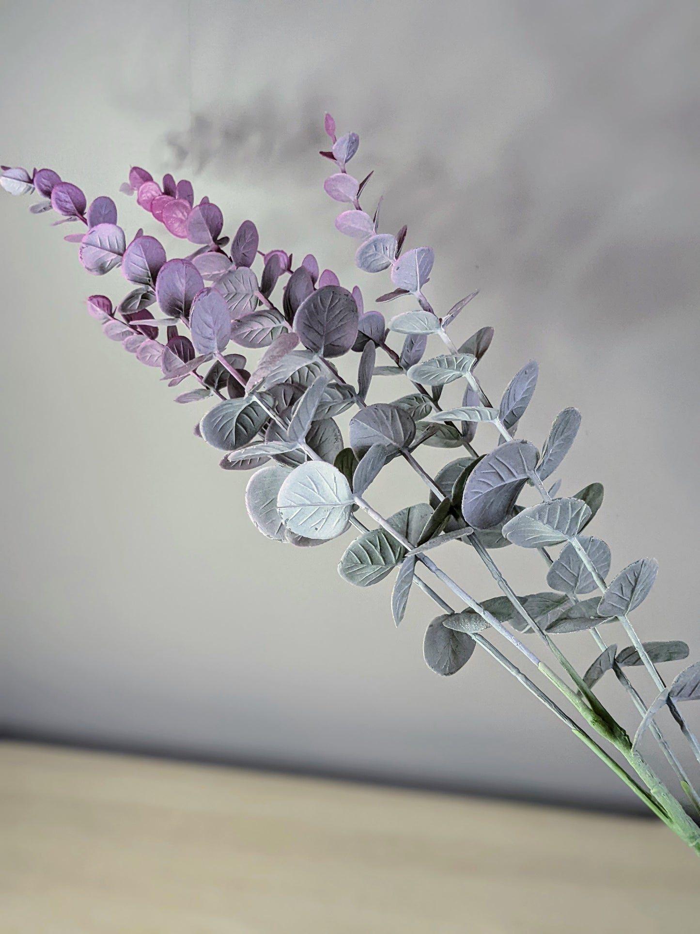 Blush Eucaplyptus Spray