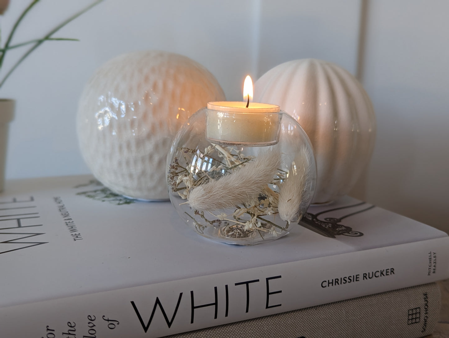 Pampas Filled Tea Light Holder