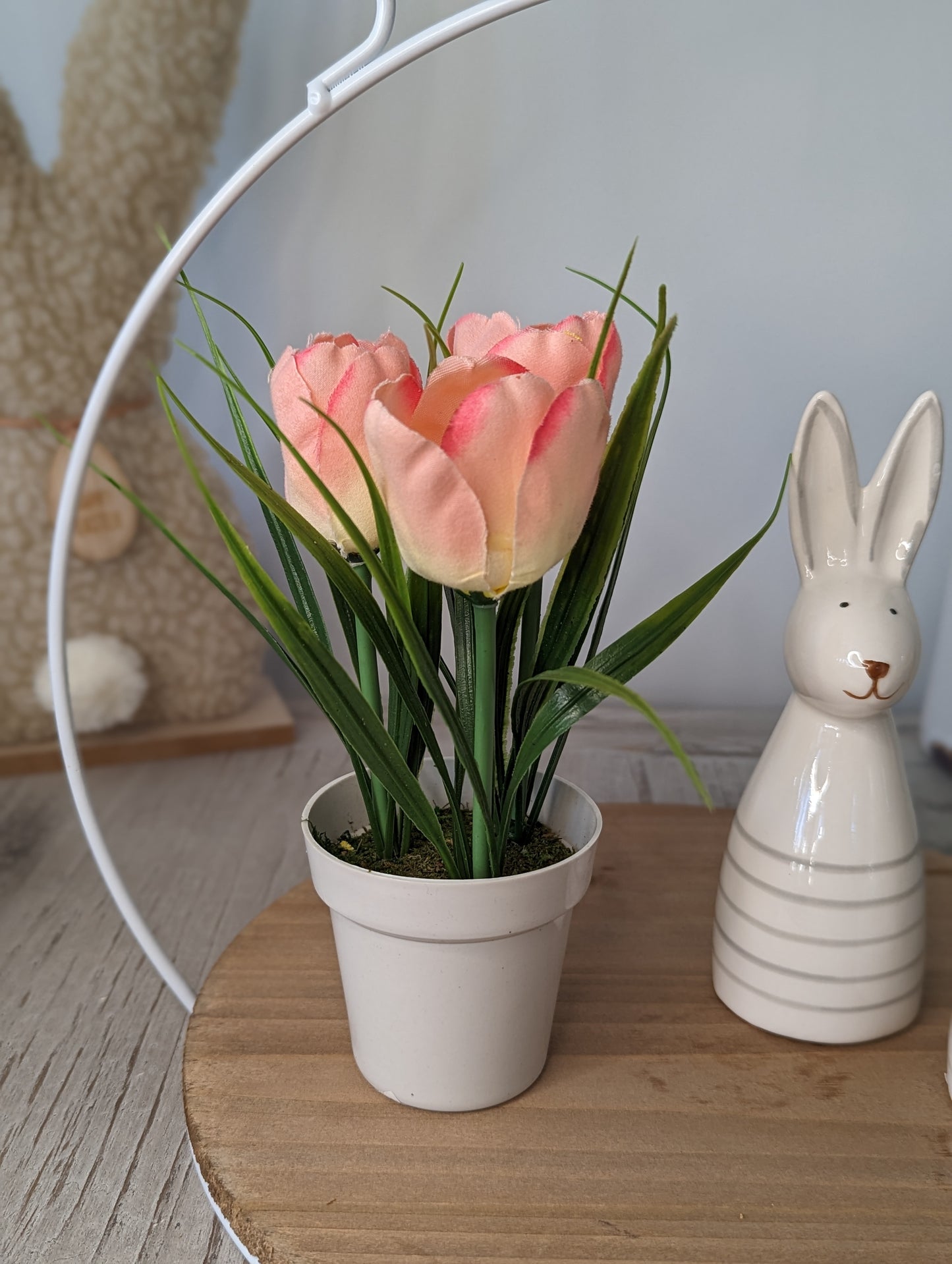 Mini Potted Tulips