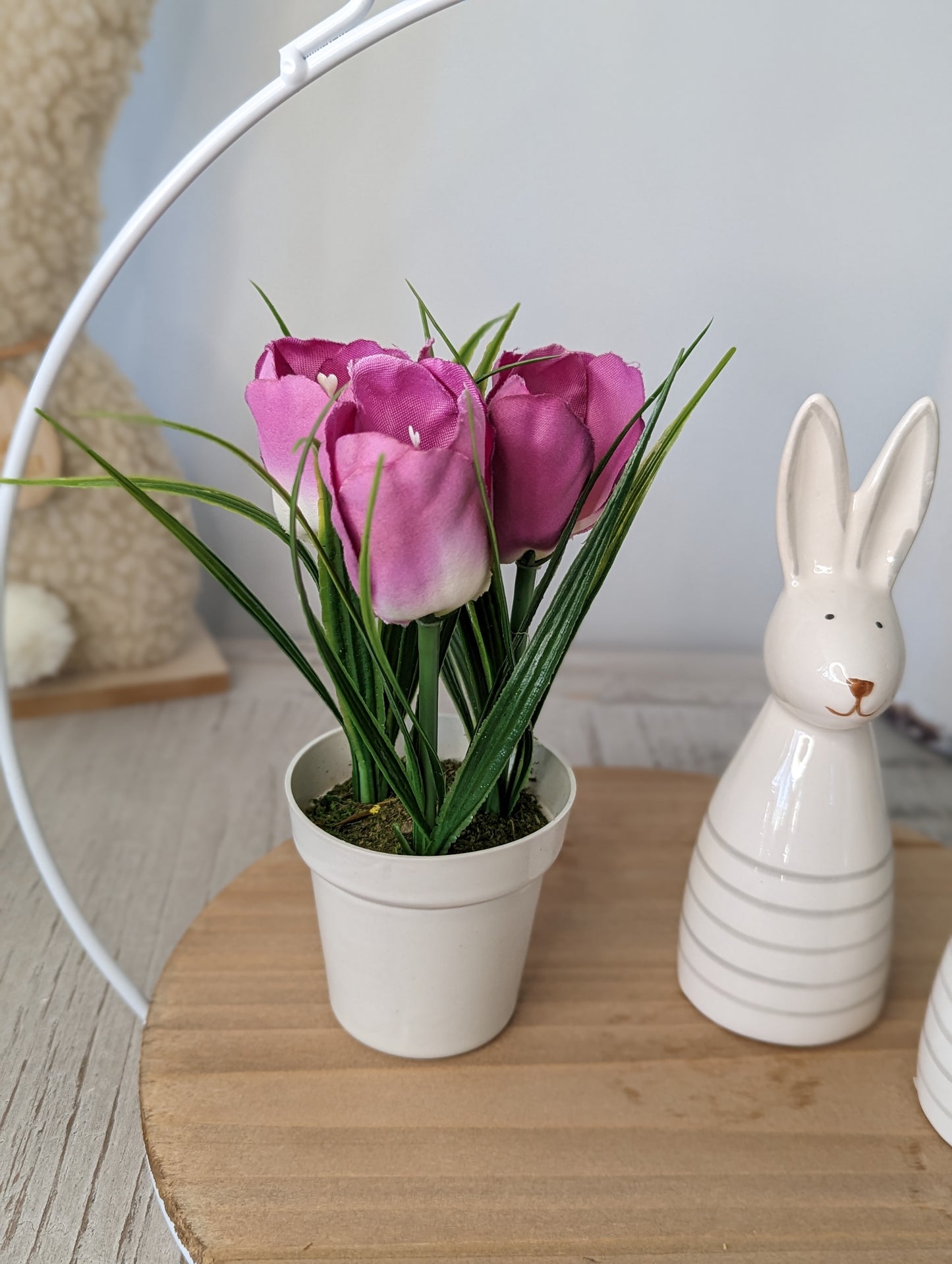 Mini Potted Tulips