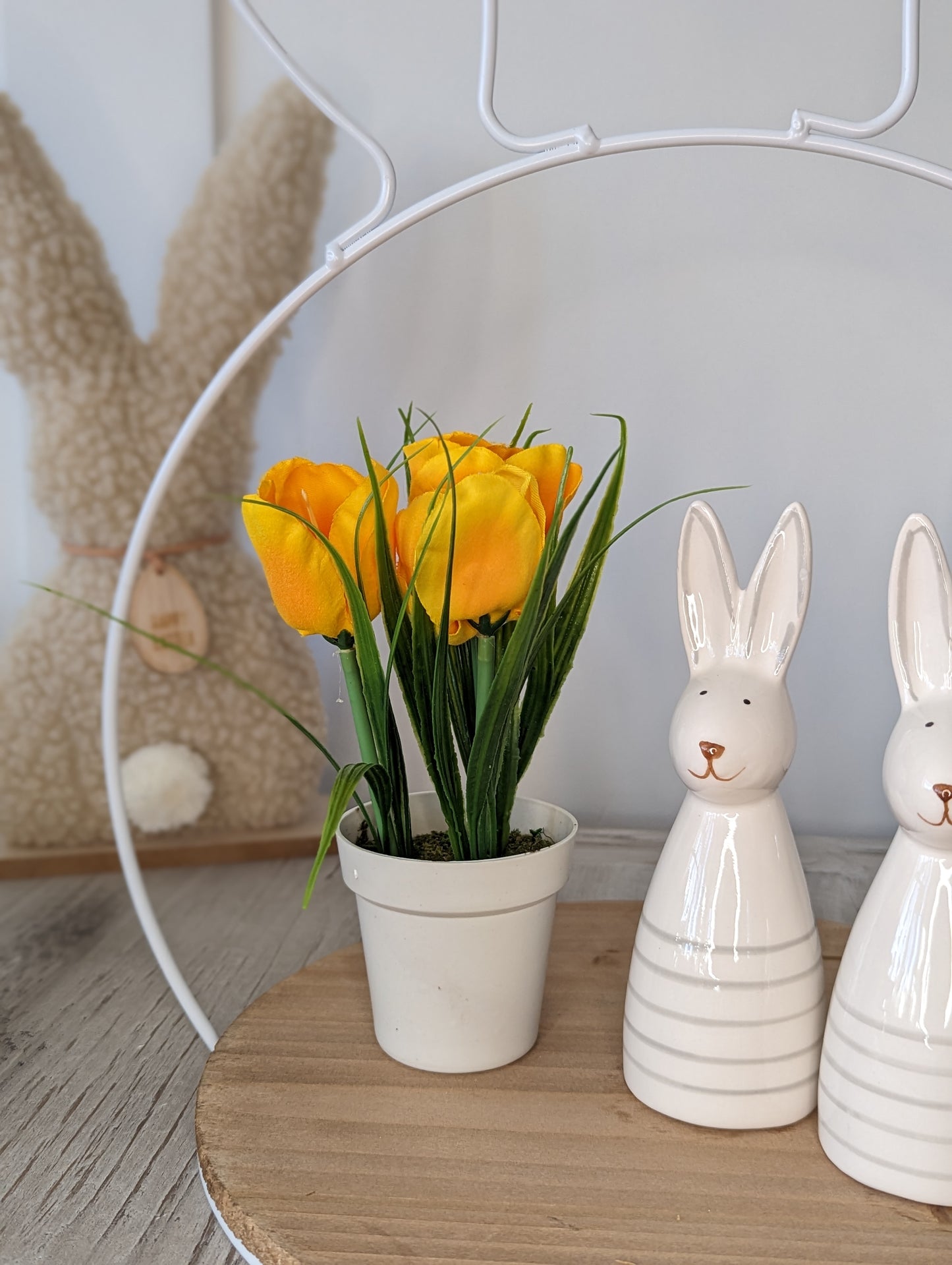 Mini Potted Tulips