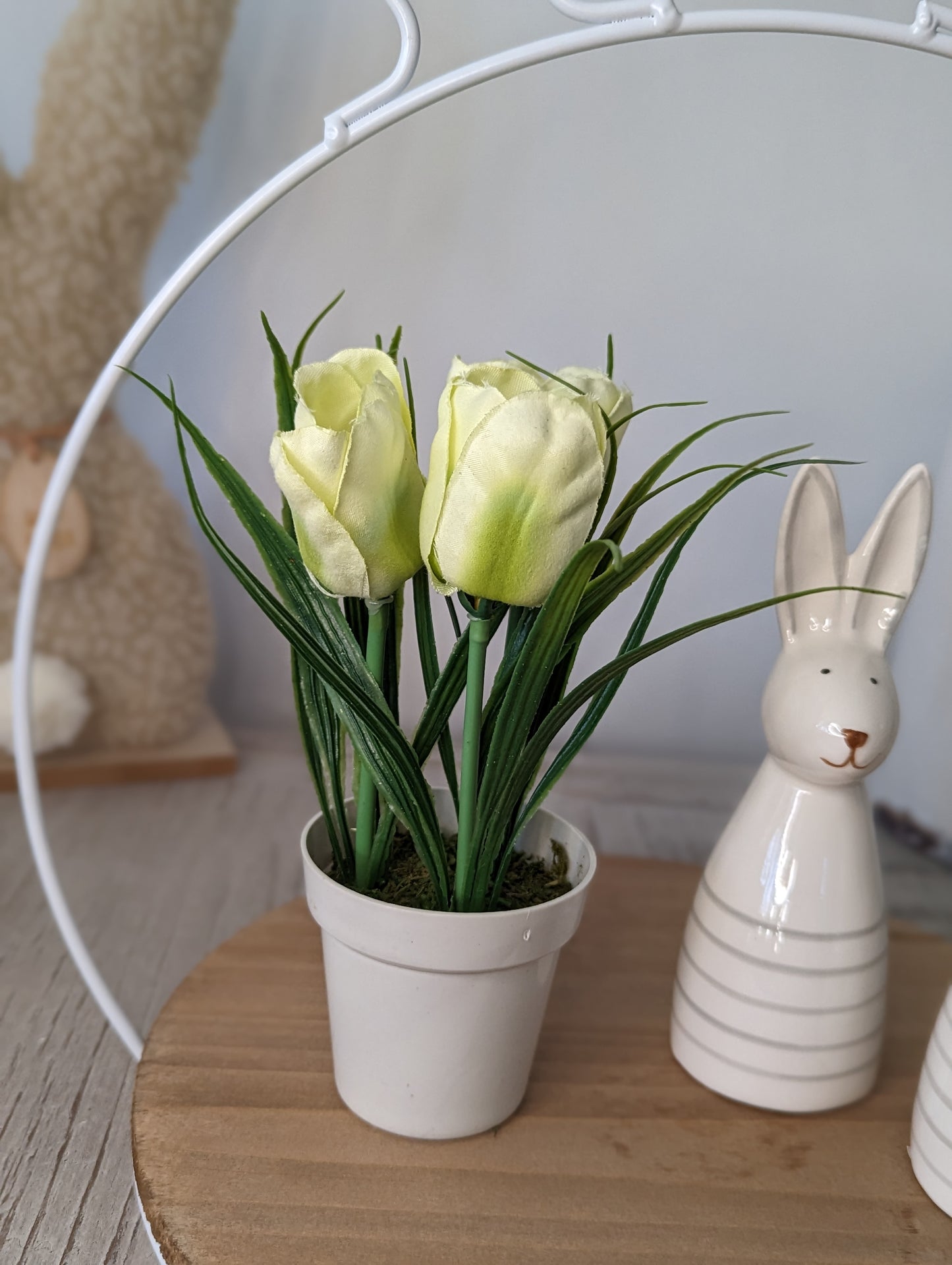 Mini Potted Tulips