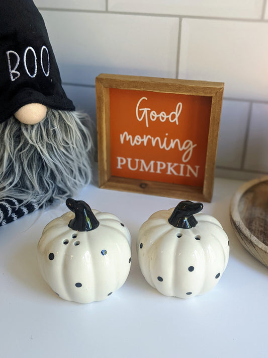 Mono Spot Pumpkin Salt and Pepper Pots