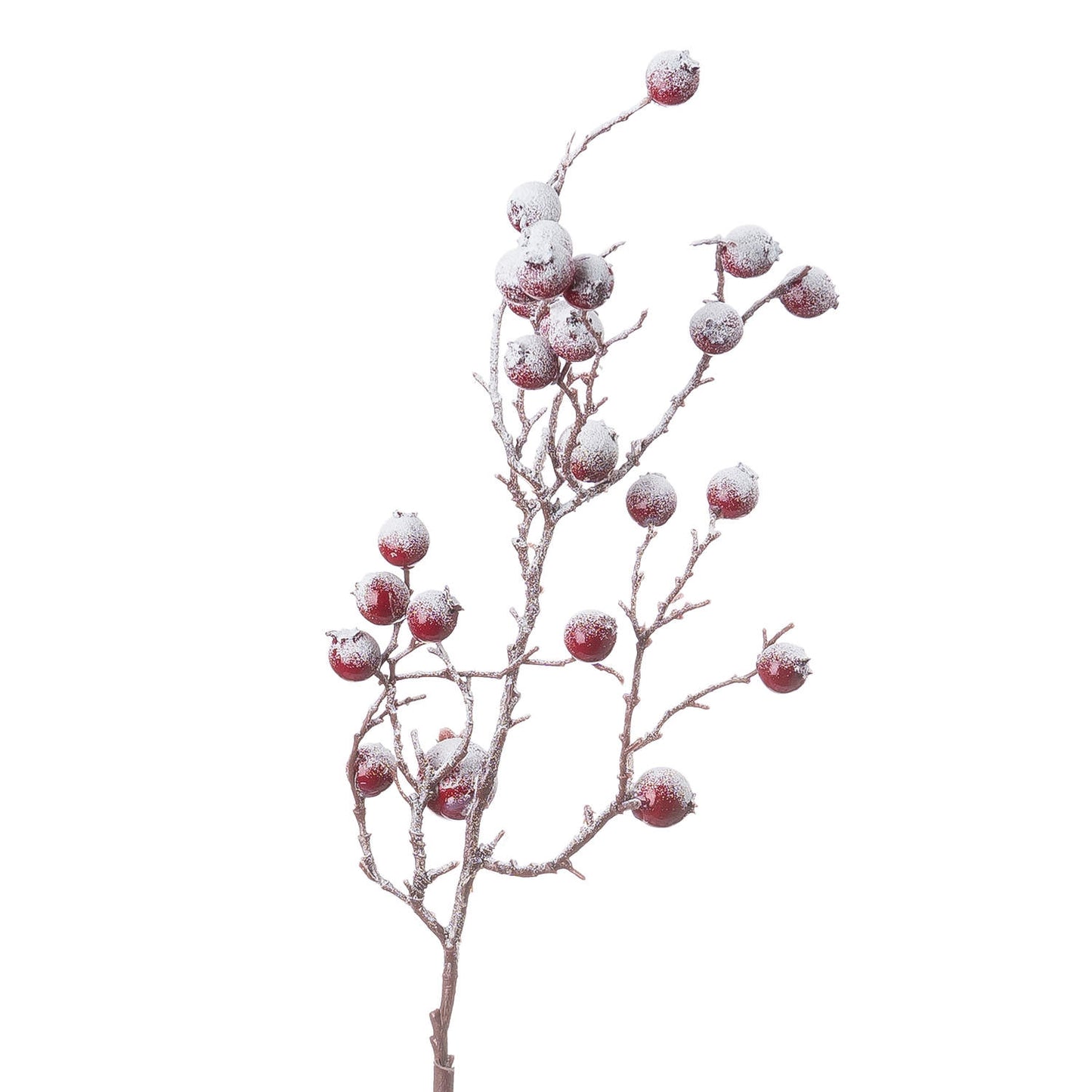 Snowy Berry Branch