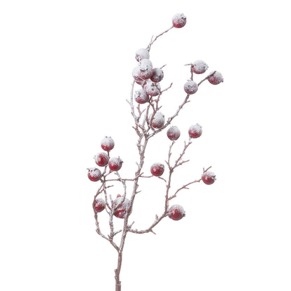 Snowy Berry Branch