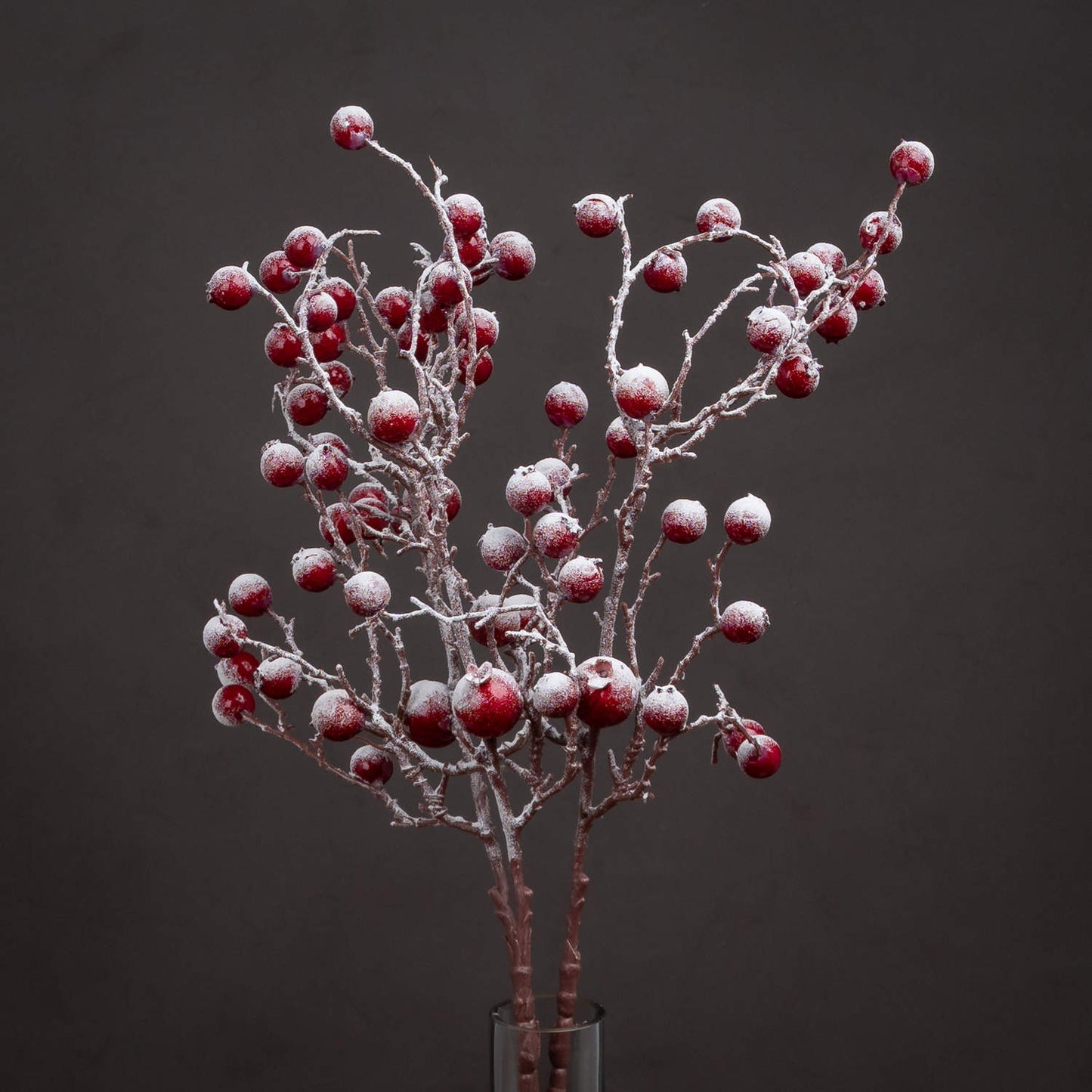 Snowy Berry Branch