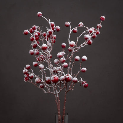 Snowy Berry Branch