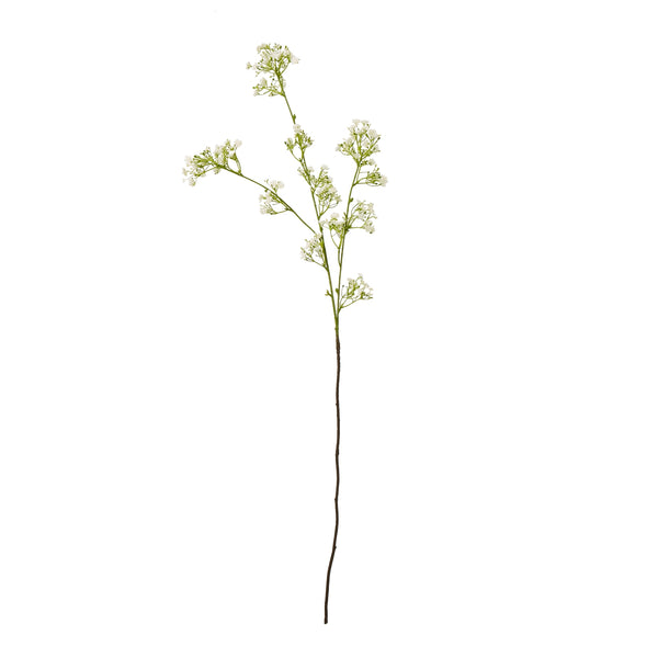 Cream Gypsophilia Spray