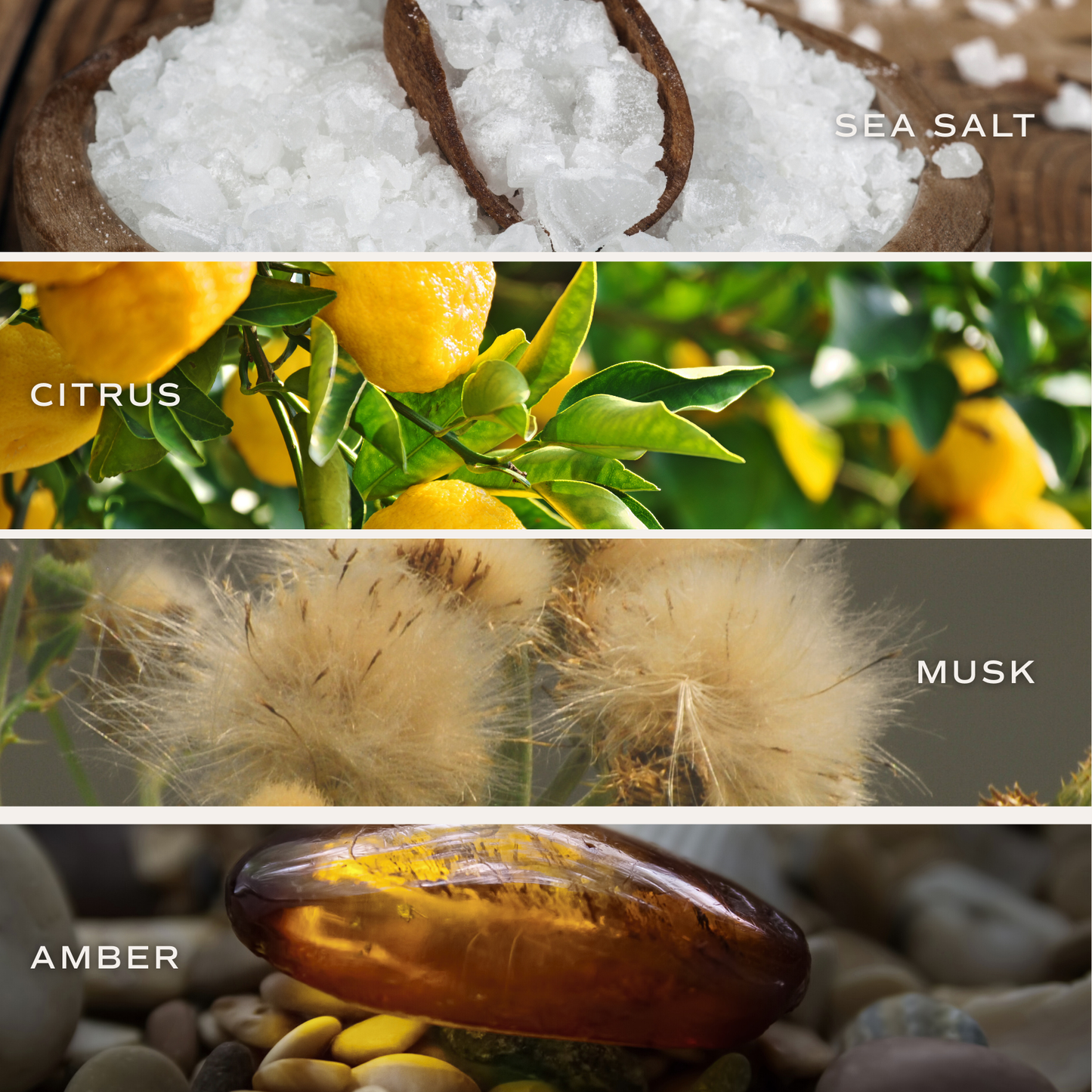 Salt and Sea Amber Candle Jar