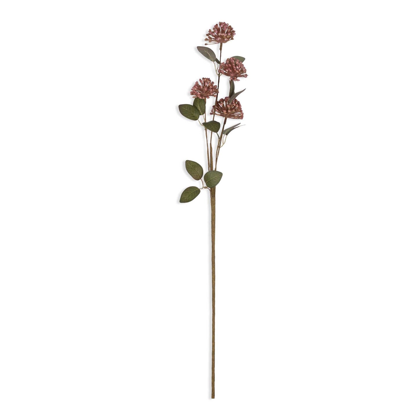 Eucalyptus Berry Stem