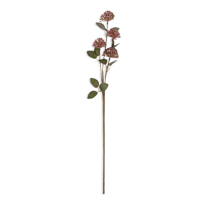 Eucalyptus Berry Stem