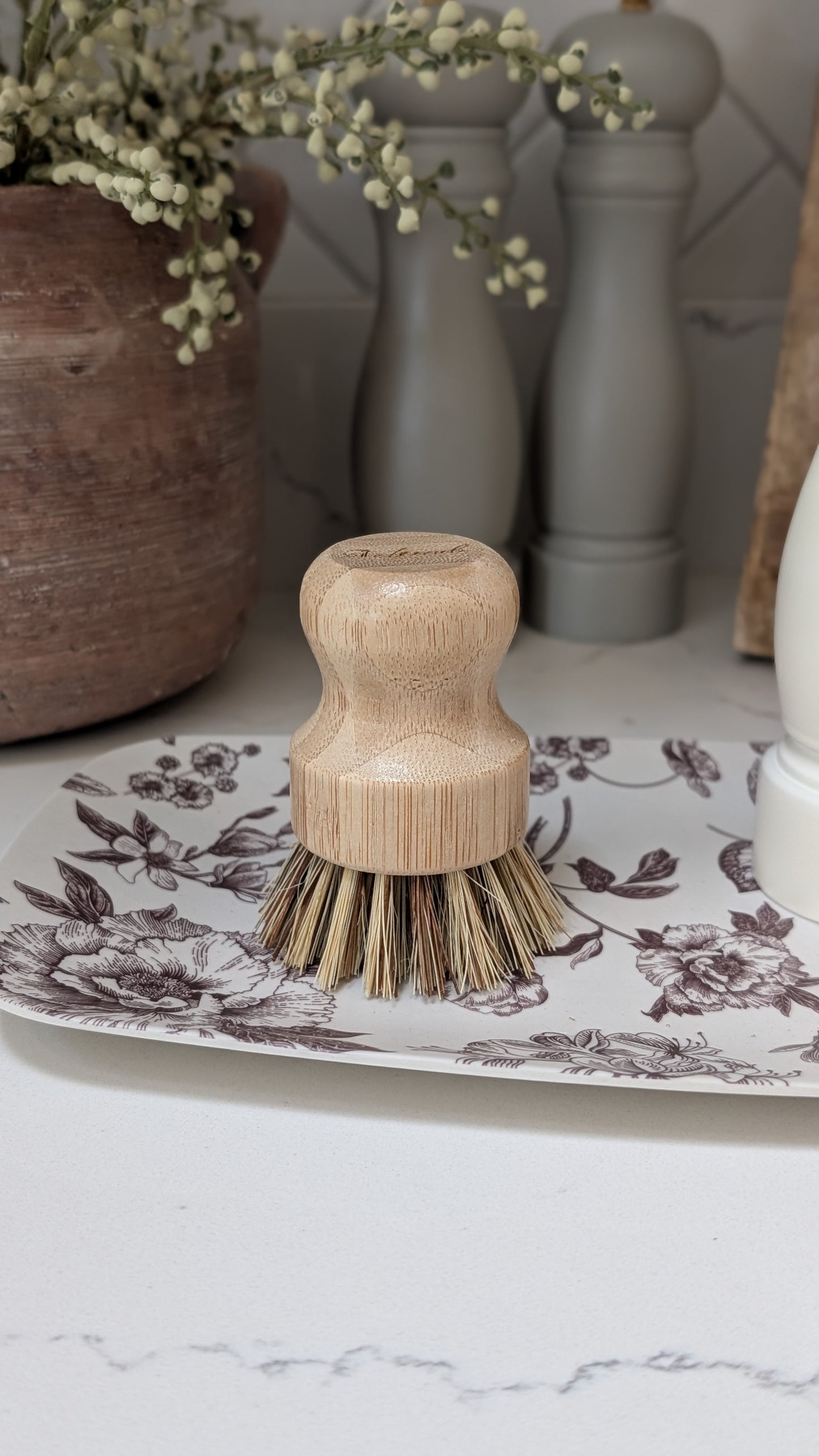 Wooden Dish Brush