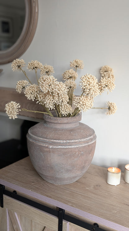 Cream Allium Spray