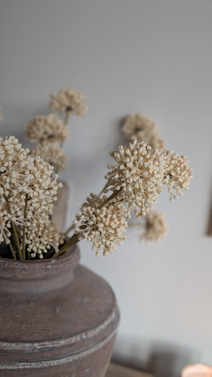 Cream Allium Spray