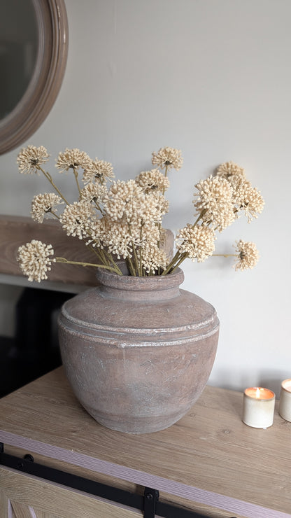 Cream Allium Spray