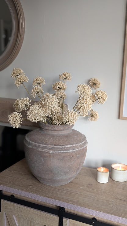 Cream Allium Spray