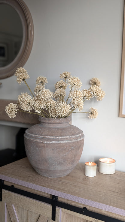 Cream Allium Spray
