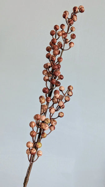 Autumn Berry Branch