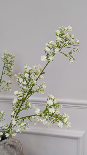 Cream Gypsophilia Spray