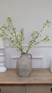 Cream Gypsophilia Spray