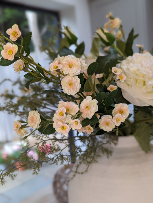 Cream Meadow Rose Stem