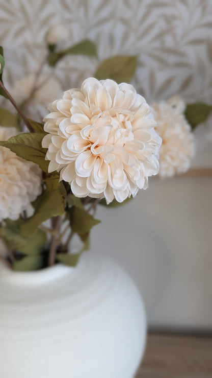 White Dahlia Stem