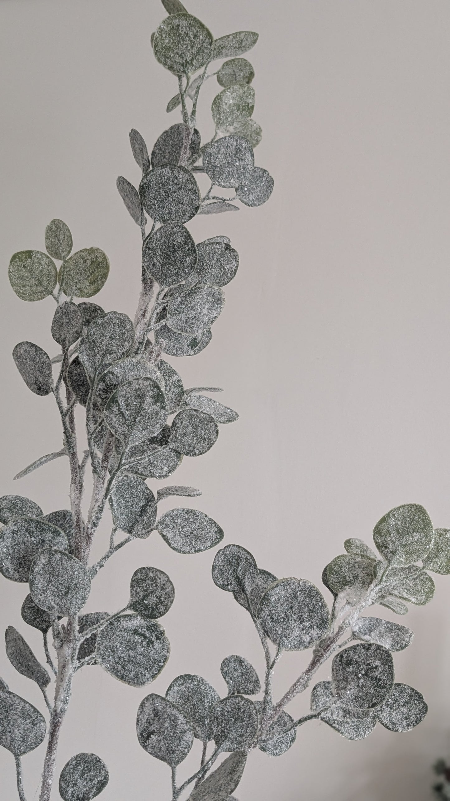 Snowy Eucalyptus Spray