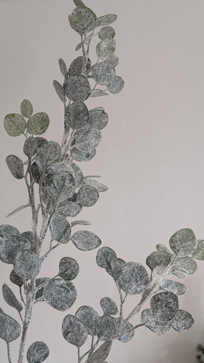 Snowy Eucalyptus Spray