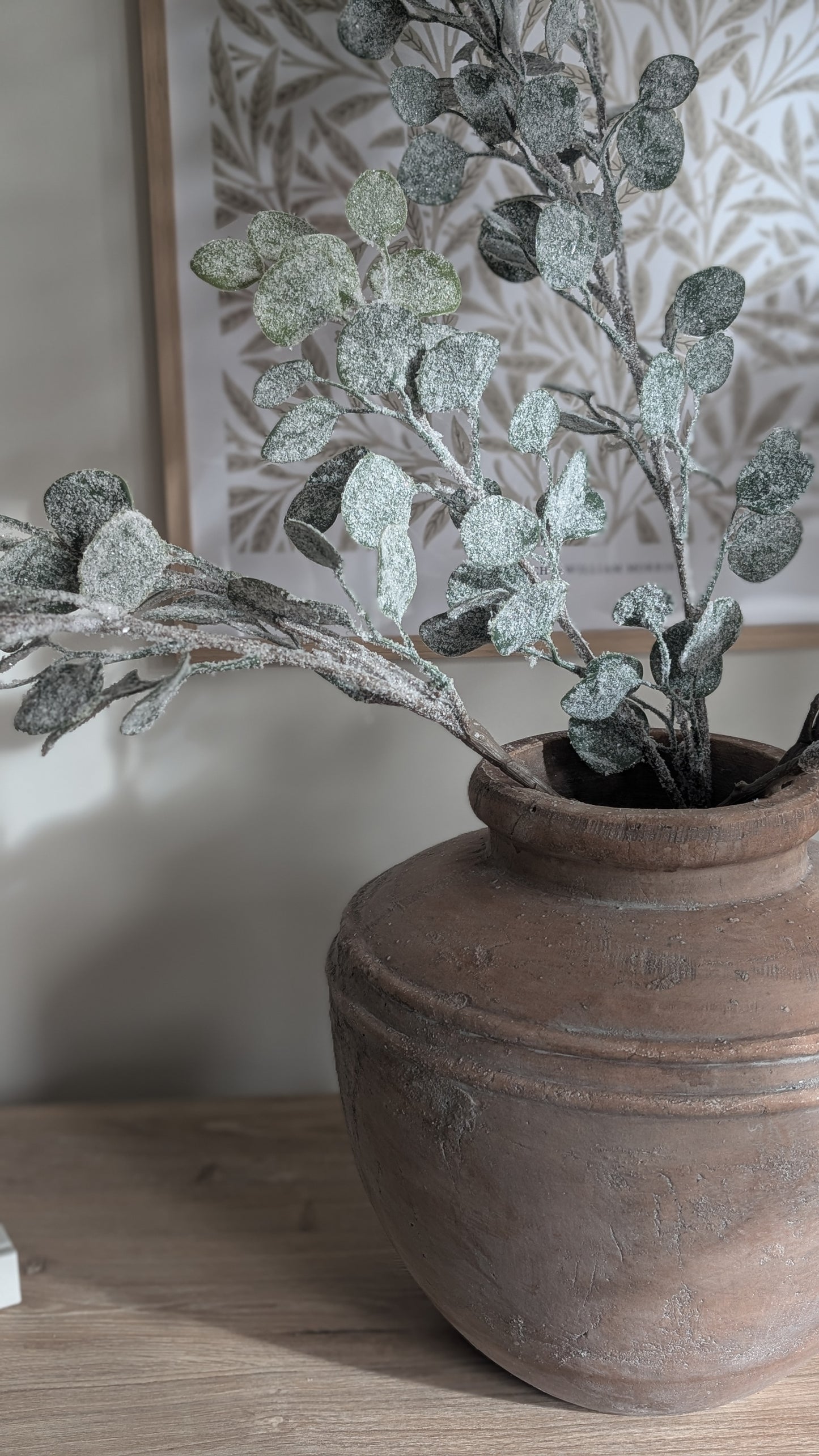 Snowy Eucalyptus Spray