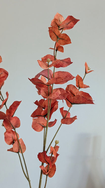 Rust Autumn Eucalyptus Spray