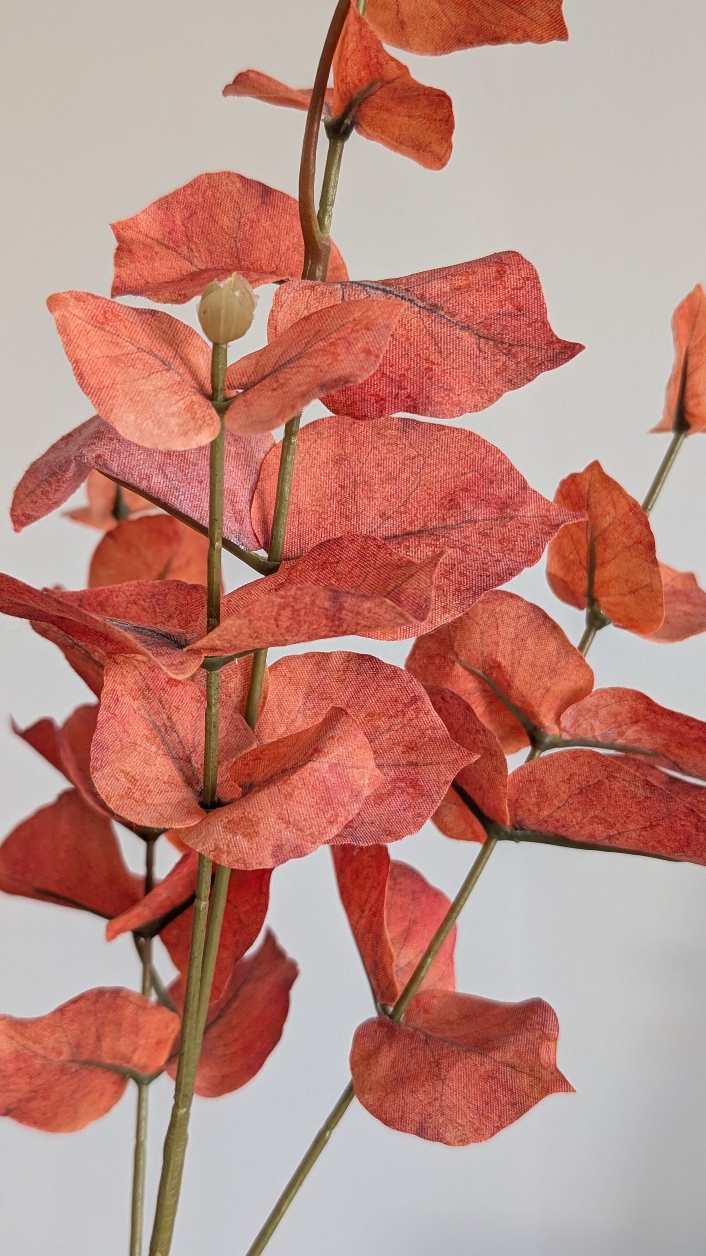 Rust Autumn Eucalyptus Spray