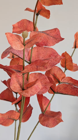 Rust Autumn Eucalyptus Spray