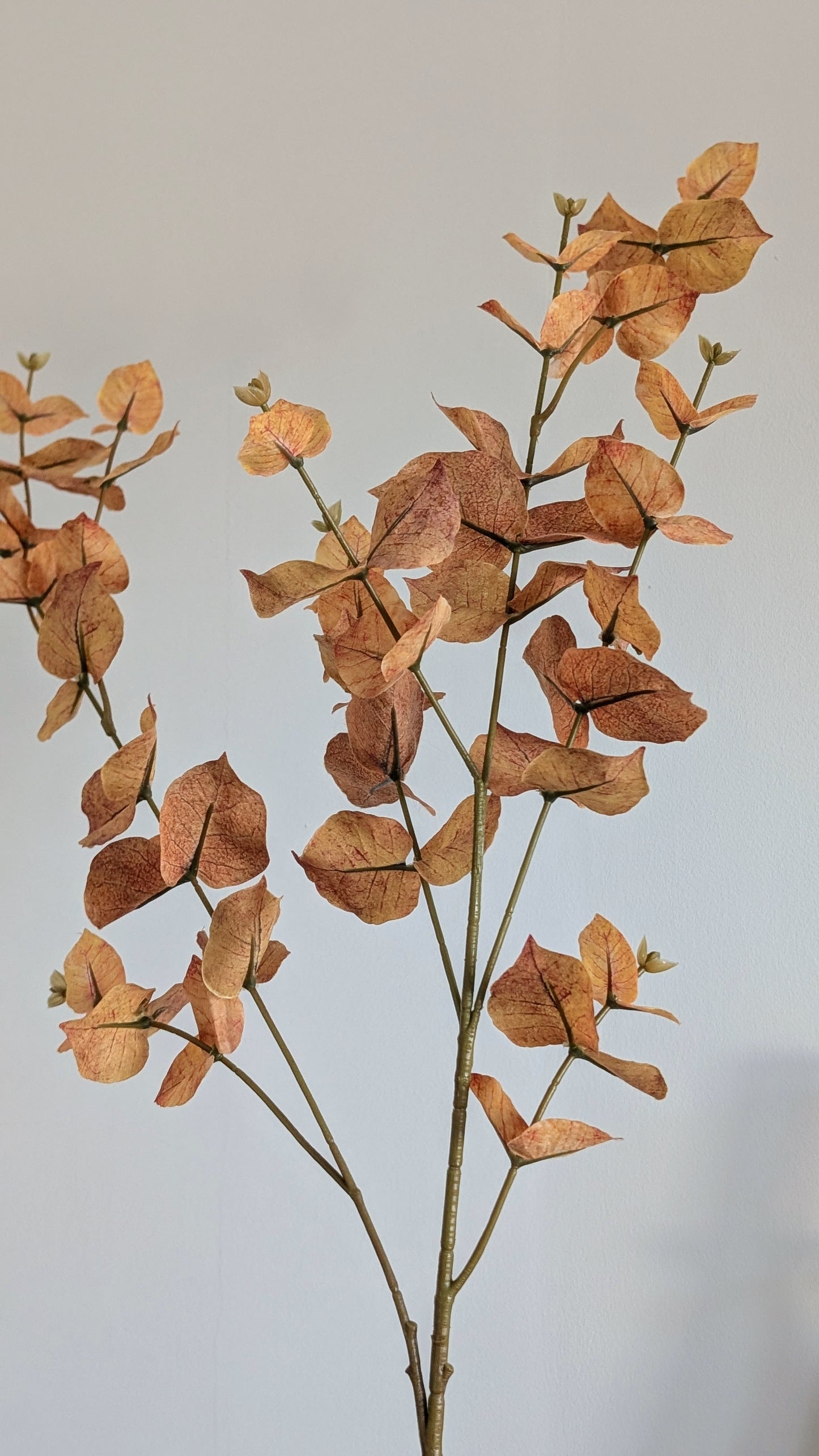 Brown Autumn Eucalyptus Spray