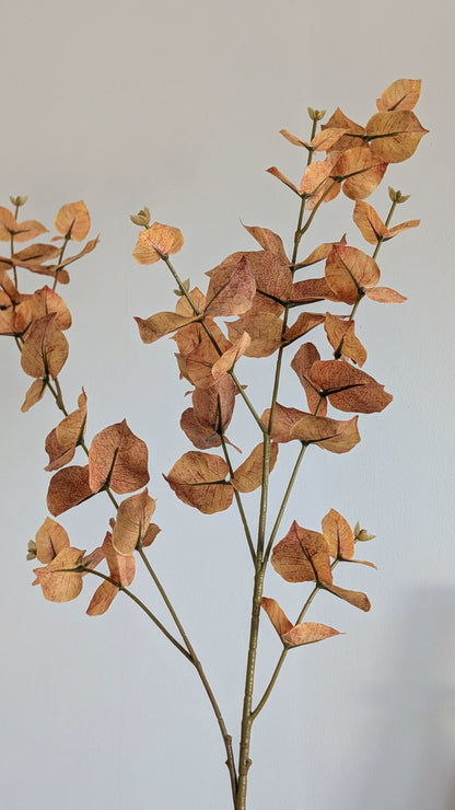 Brown Autumn Eucalyptus Spray
