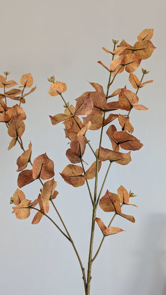 Brown Autumn Eucalyptus Spray