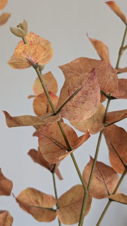 Brown Autumn Eucalyptus Spray