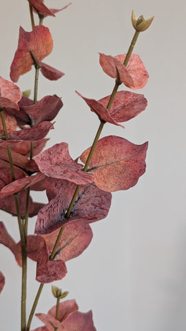 Burgundy Autumn Eucalyptus Spray