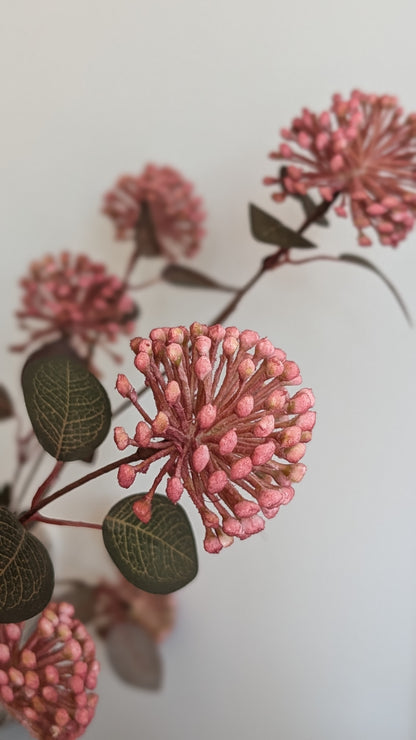 Eucalyptus Berry Stem
