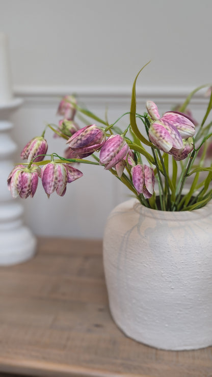 Purple Fritillaria Bunch