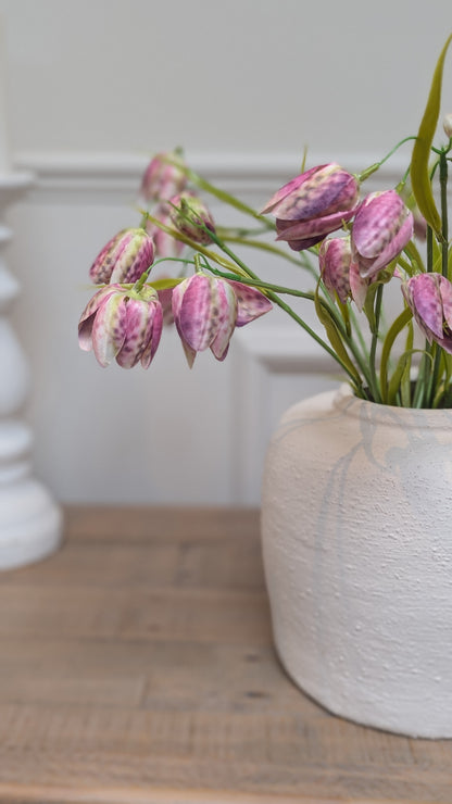 Purple Fritillaria Bunch