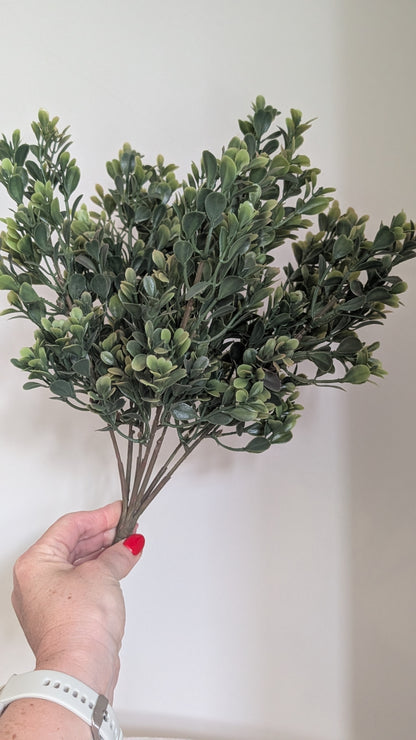 Green Leaf Spray