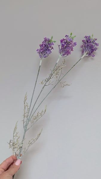 Purple Meadow Flower