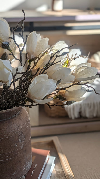 Short Stem Magnolia