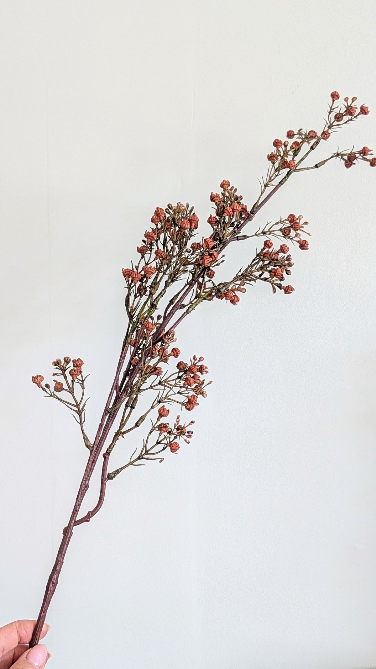 Autumn Gypsophilia Spray